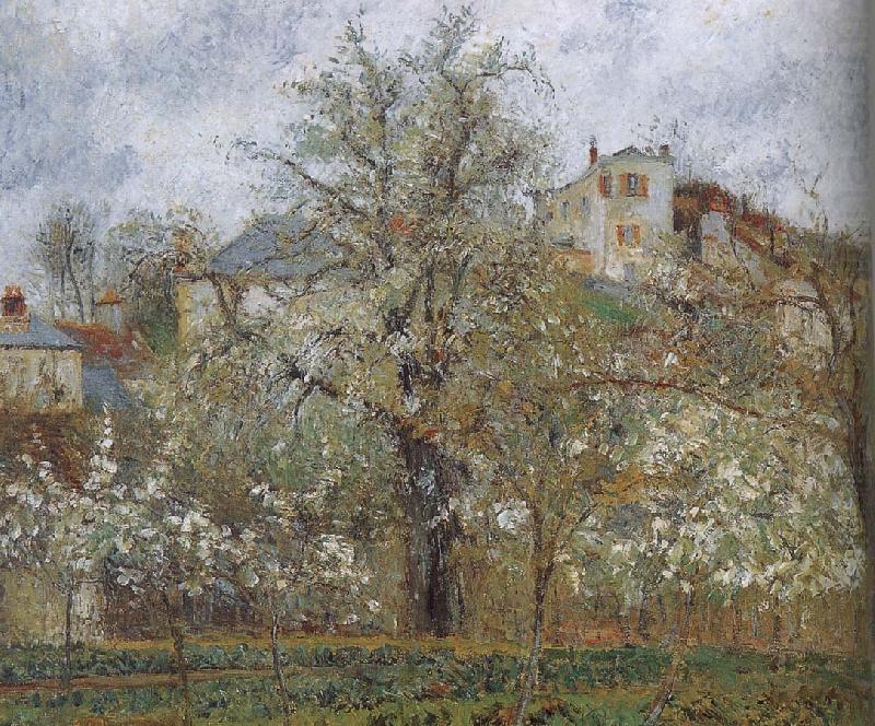 spring flowering gardens and trees, Camille Pissarro